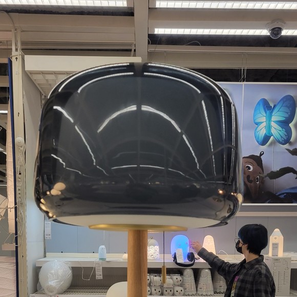 Meet your Posher, Chloe - Picture 1 of 1